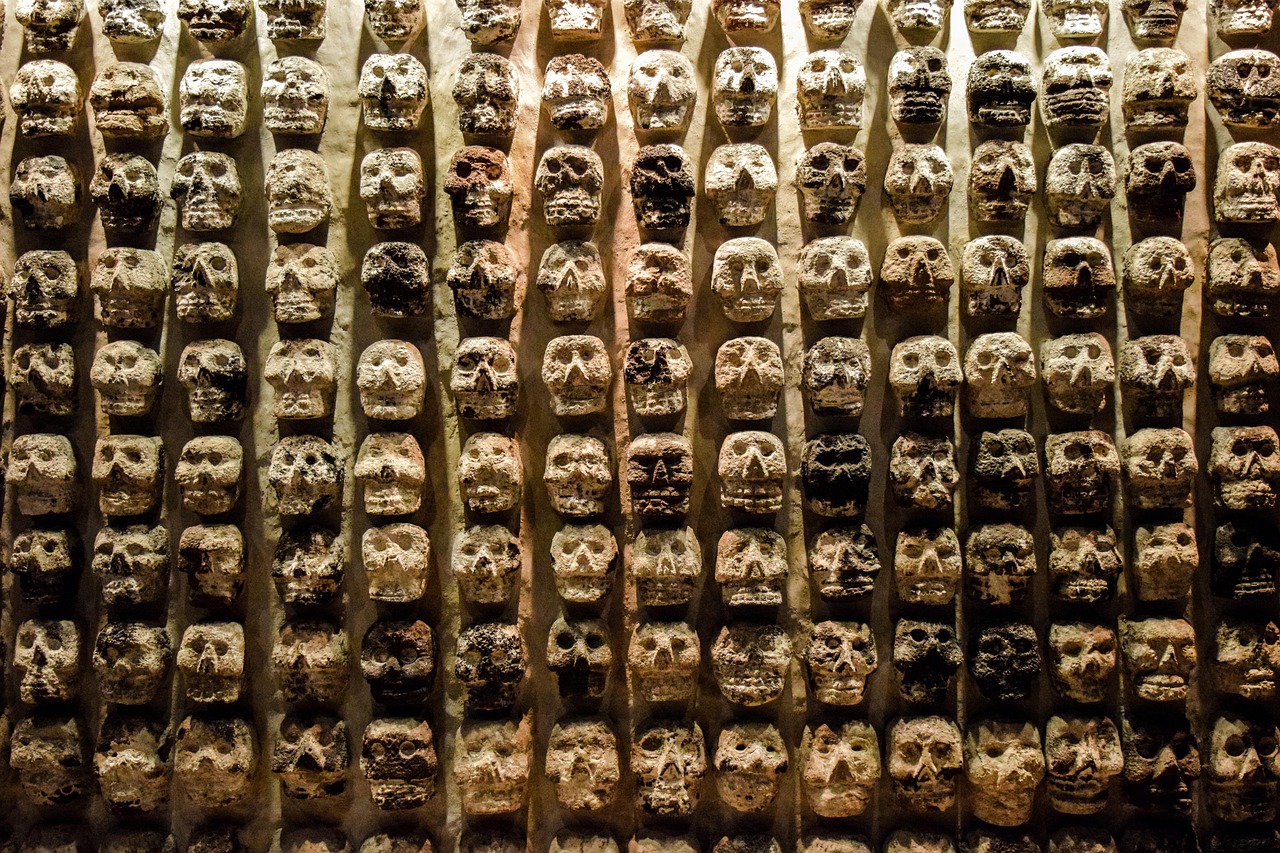 Voces que vuelven del polvo