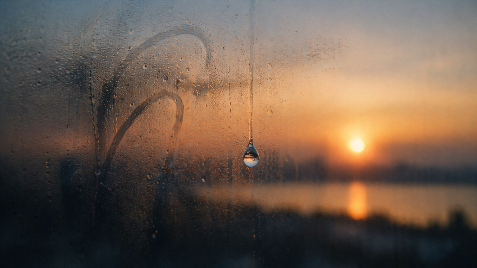 Te vi cruzando el mar a nado